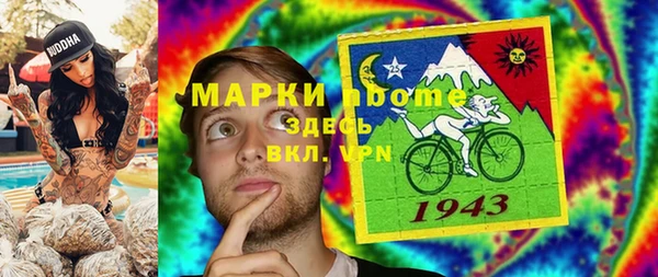 сатива Верея