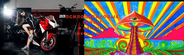 сатива Верея