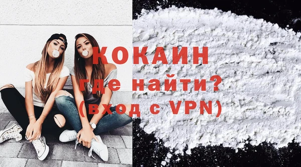 сатива Верея