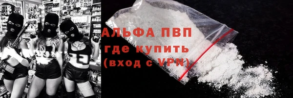 сатива Верея