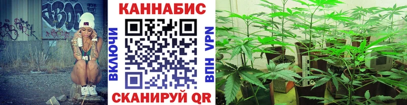Канабис индика  где можно купить   Грязовец 